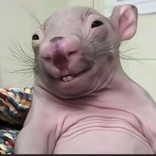 牛牛