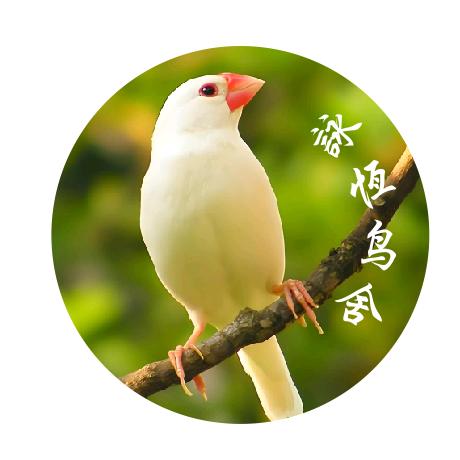 永恒鸟舍