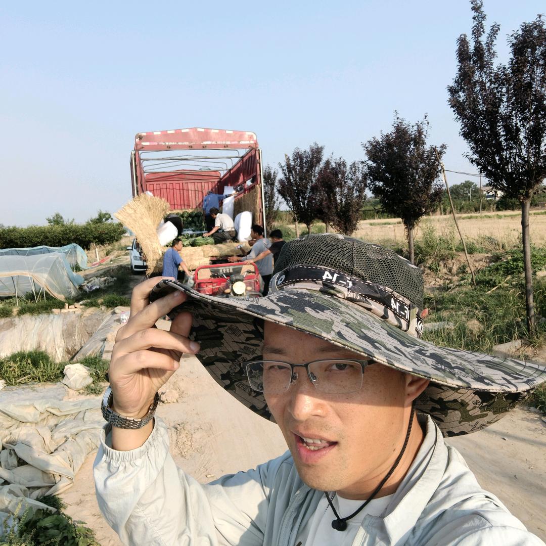 王多鱼日记