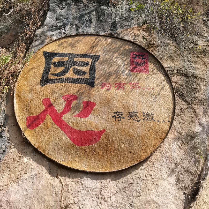 吥惪吥惪