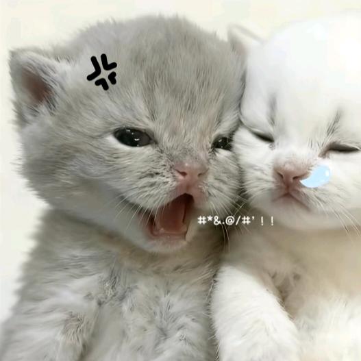 每天都在生气中