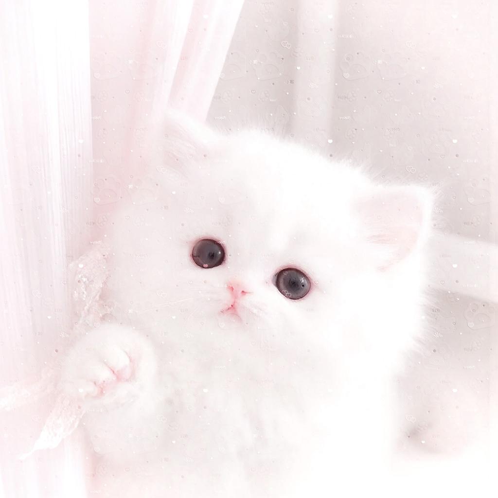 你算个鼻嘎