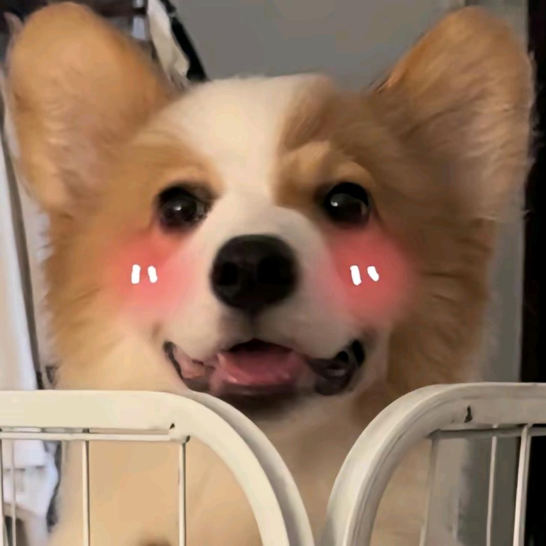 小潼