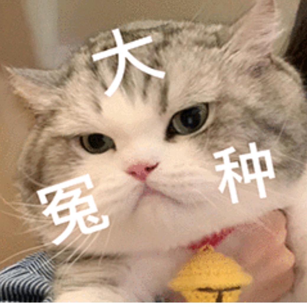 玩闹