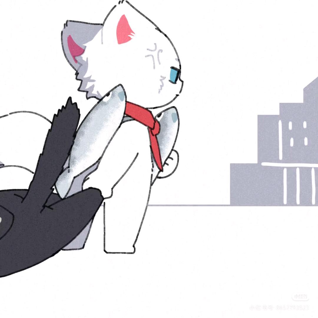 小鱼