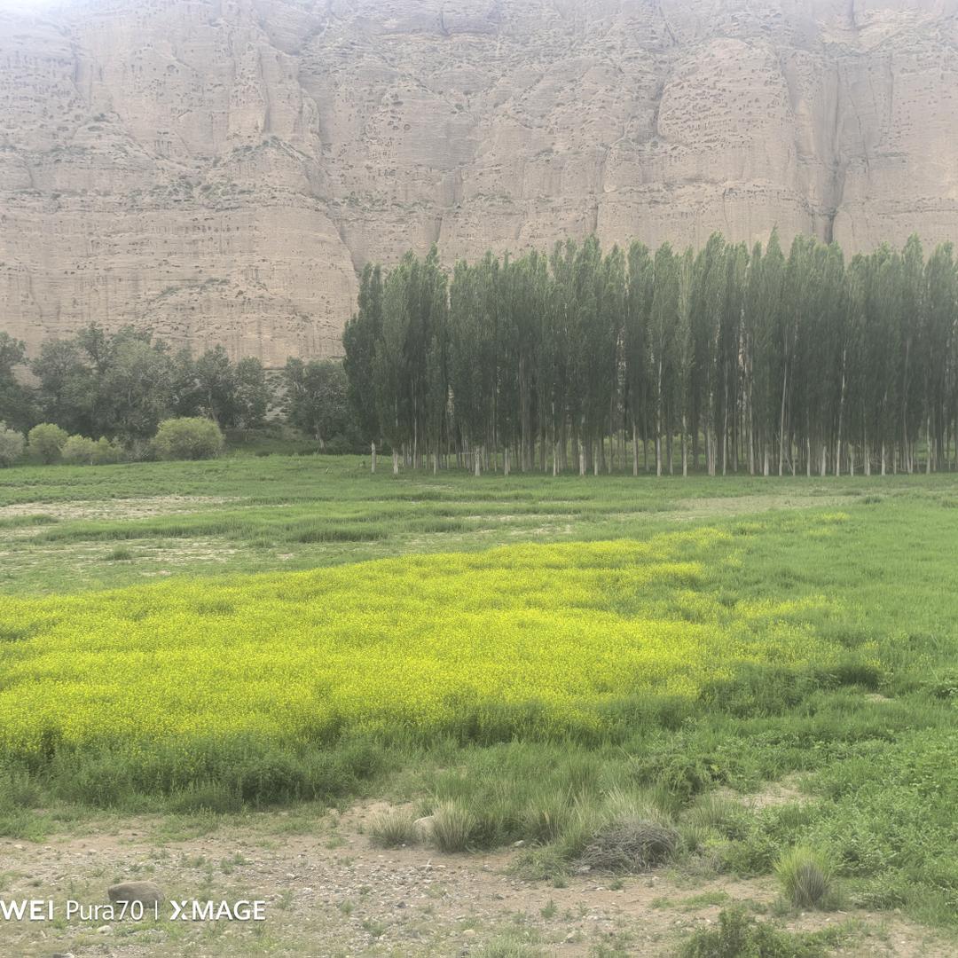 博乐市鸿达轮胎修理部
