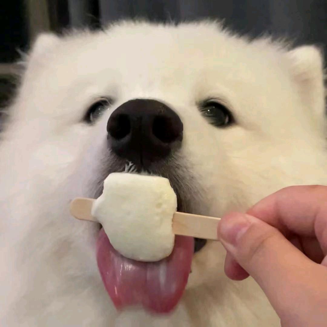 雾宁