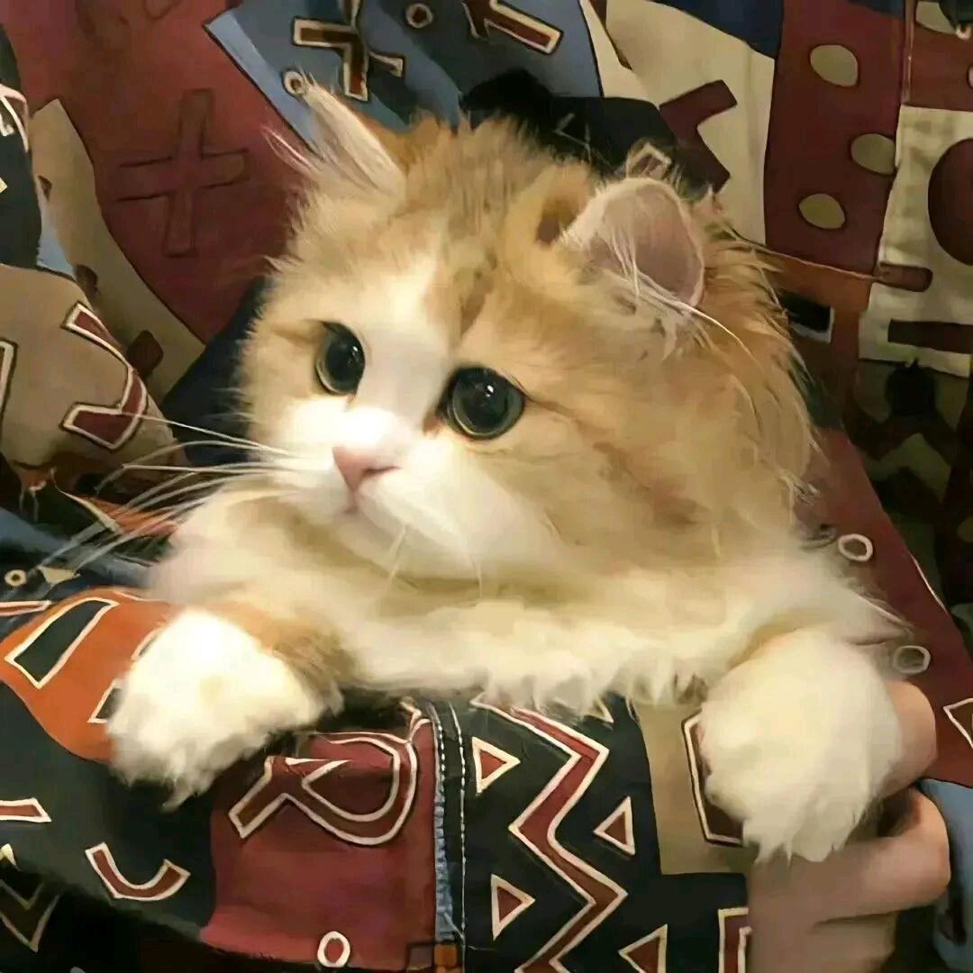好滴