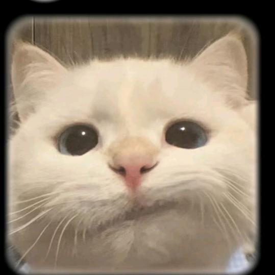 开开心.