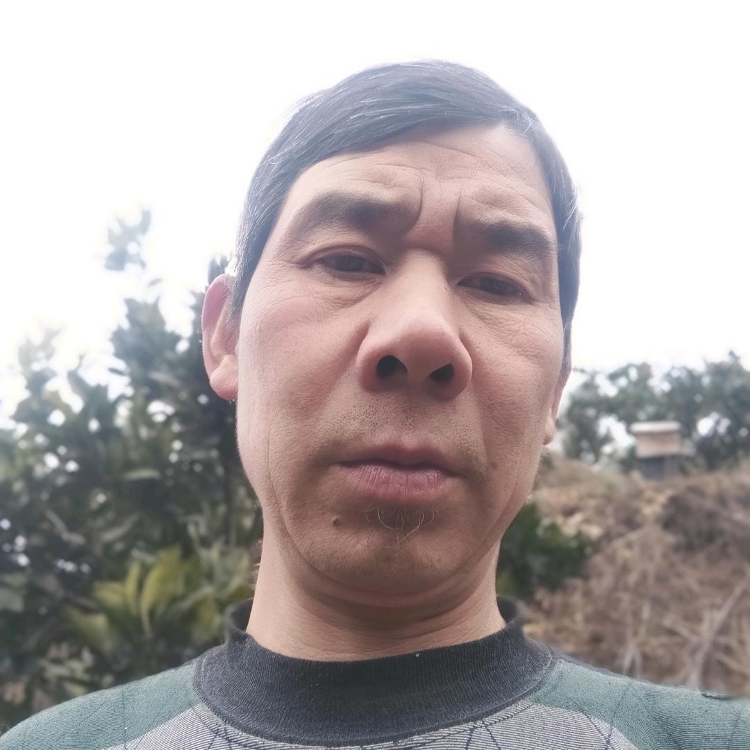山里养蜂哥