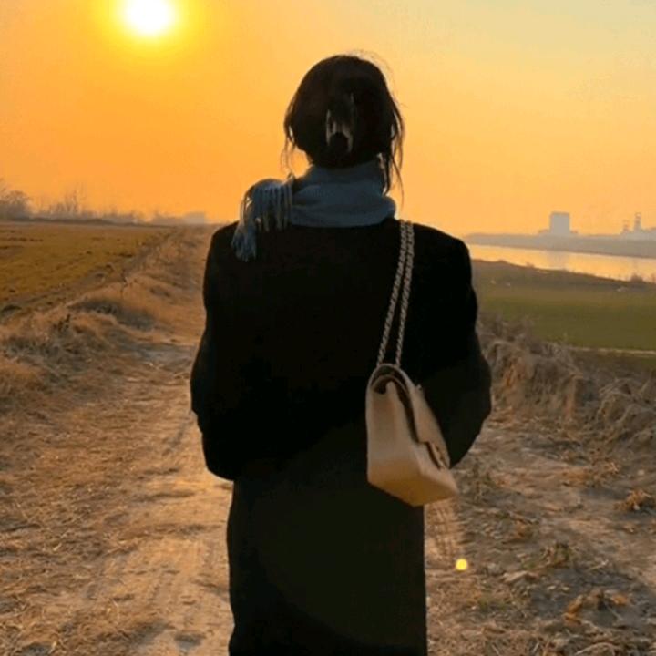 梦莉