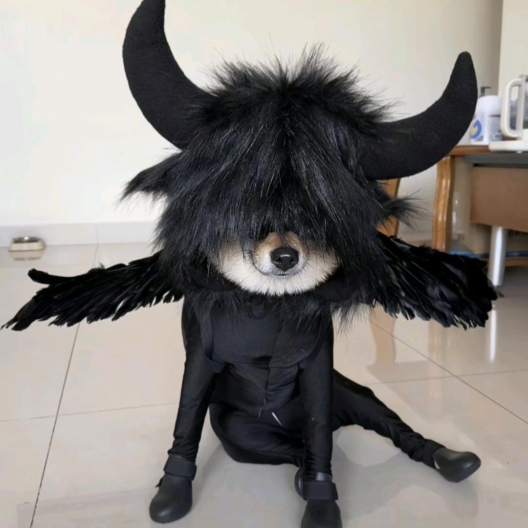 旺仔小🩲头