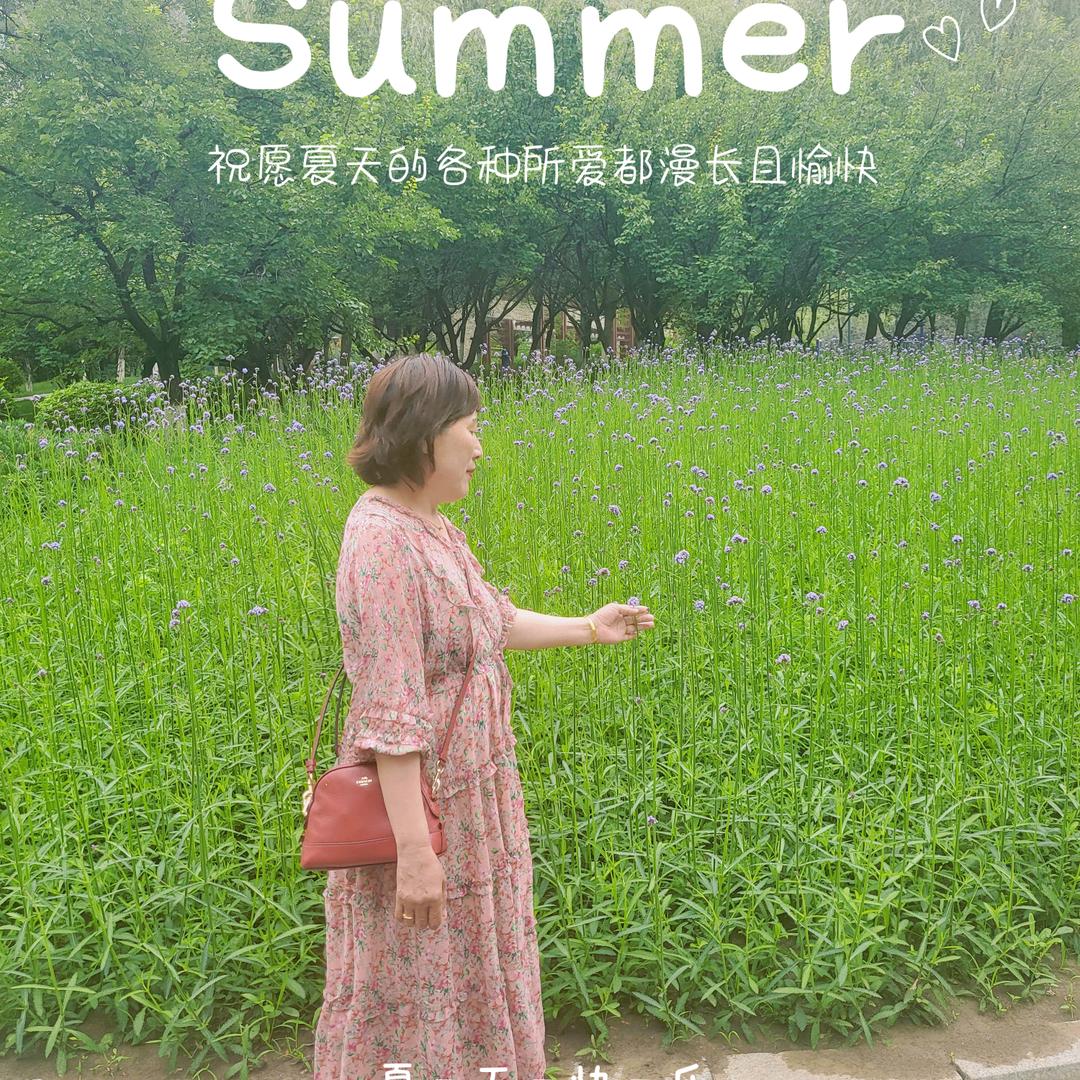 优选好物分享官H