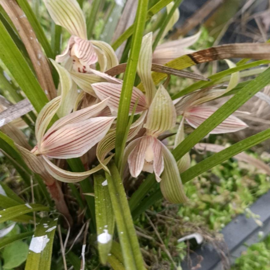 永不忘记