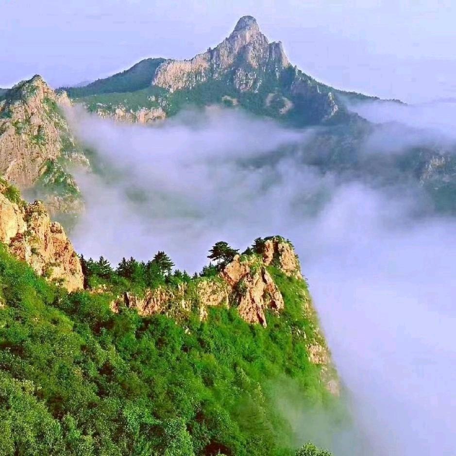 林丽风行🌴🌴🌴