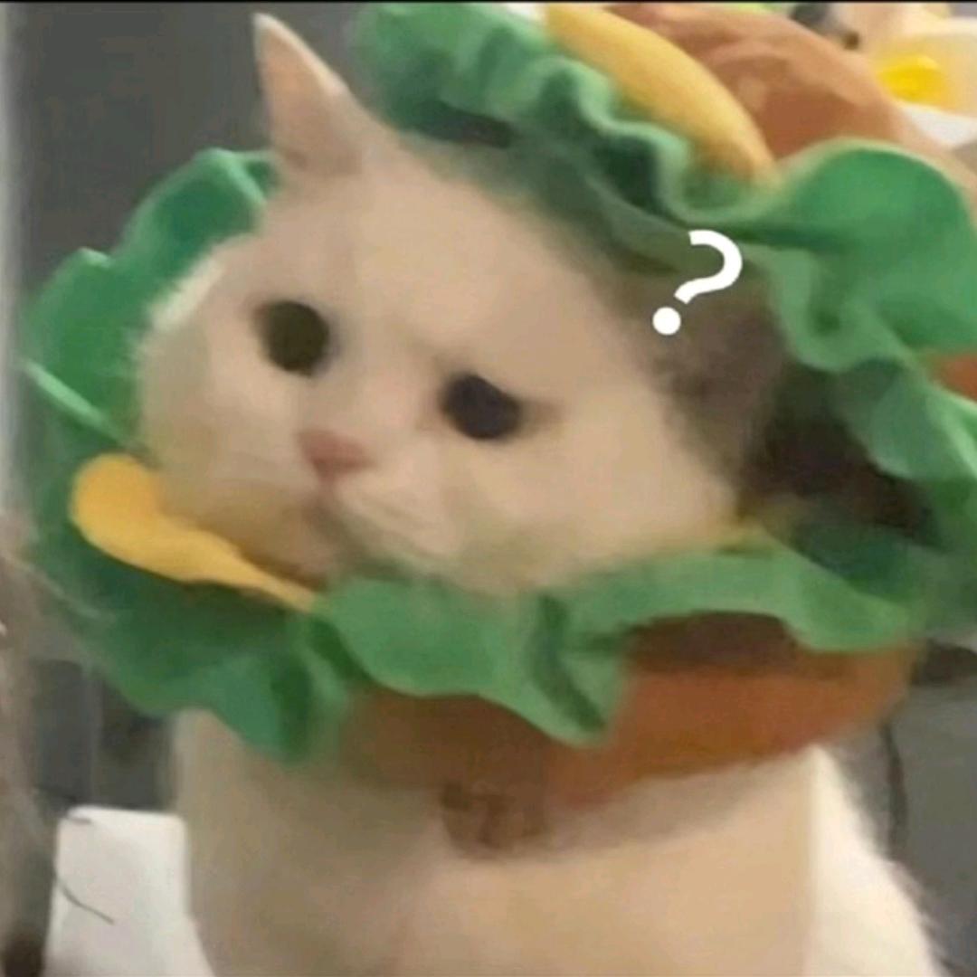 枇杷好甜哦