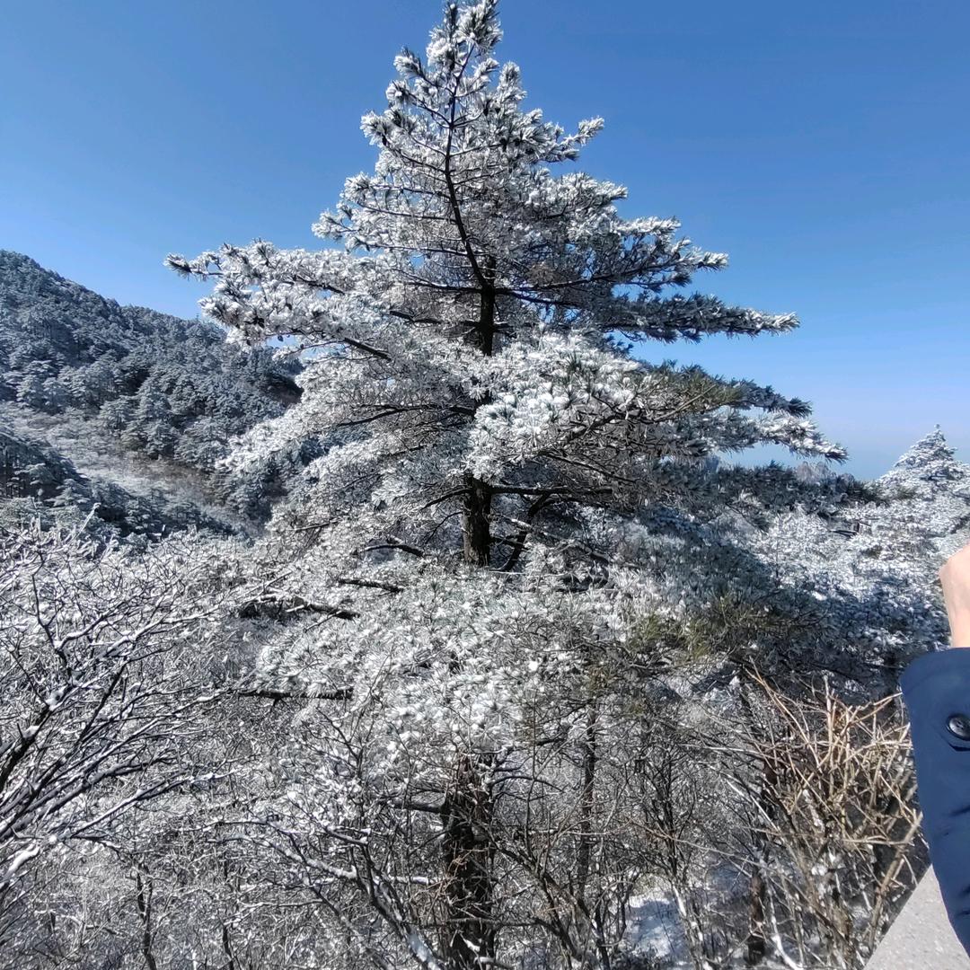 花样年华