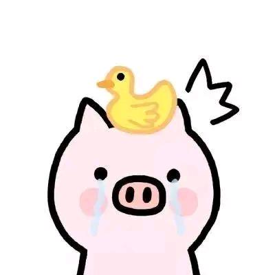 猪猪弟弟