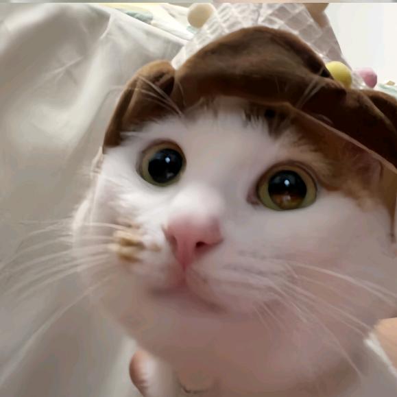 亓亓