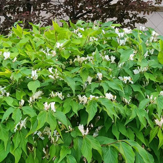 ℋღ᭄随🍒然💞࿐