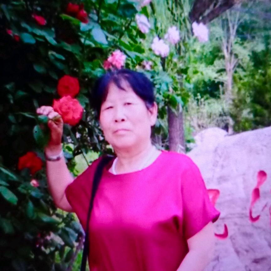 海燕(隆家人)拒绝连赞