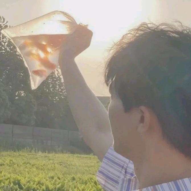 大衣姐的苡不是蚁