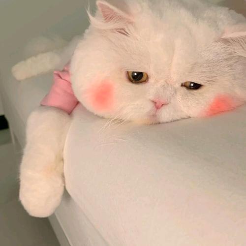 闲禄