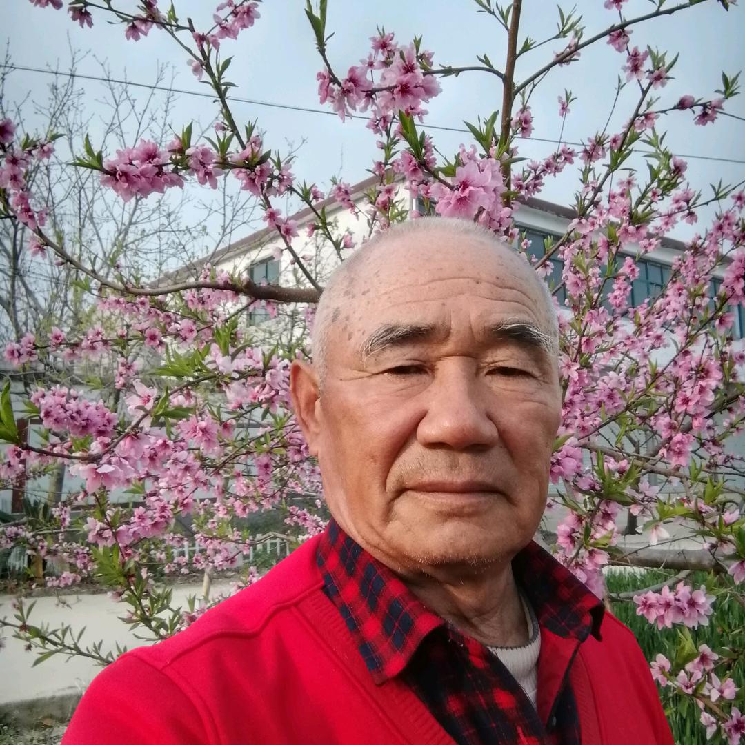 张神仙