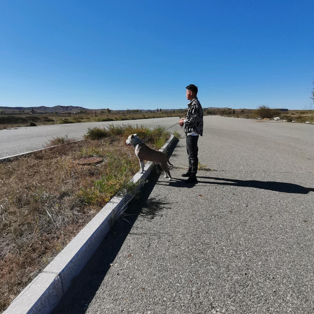名扬四海杨先生