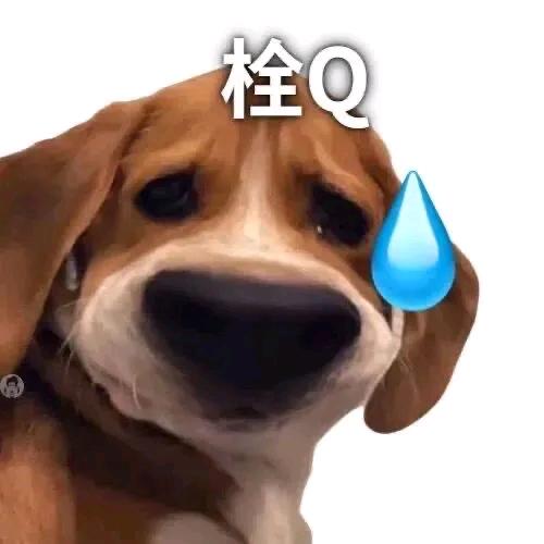 不要欺负老实人啊