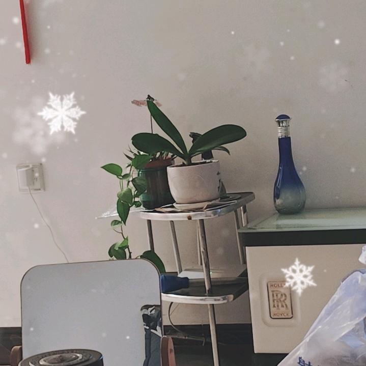 平安是福