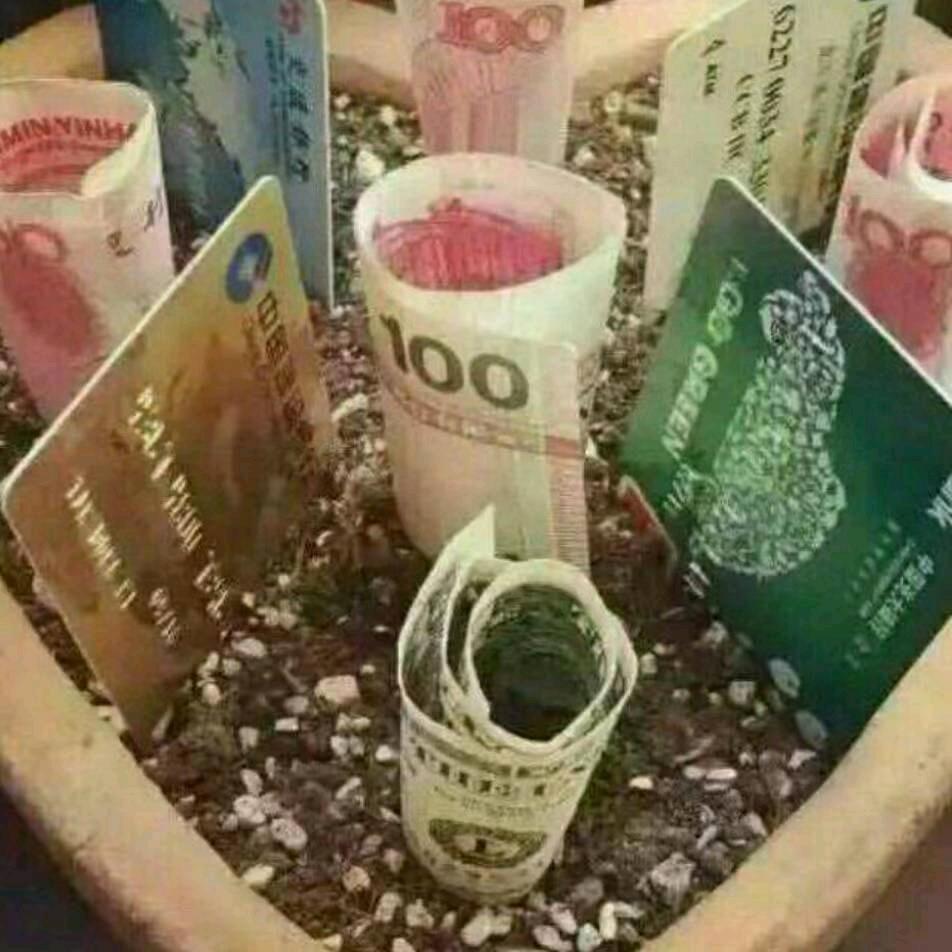 雨后的彩虹(拒绝私聊)