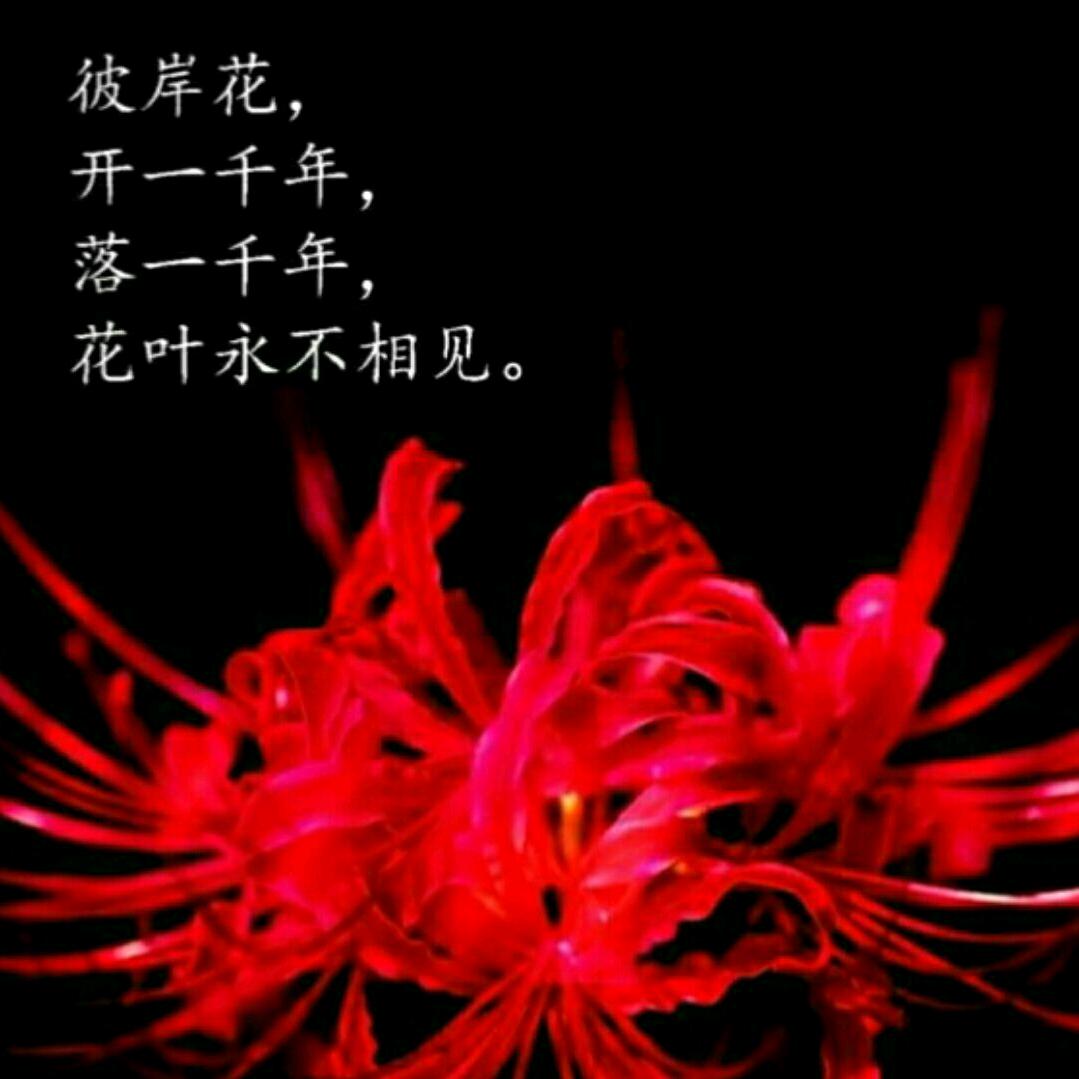 彼岸