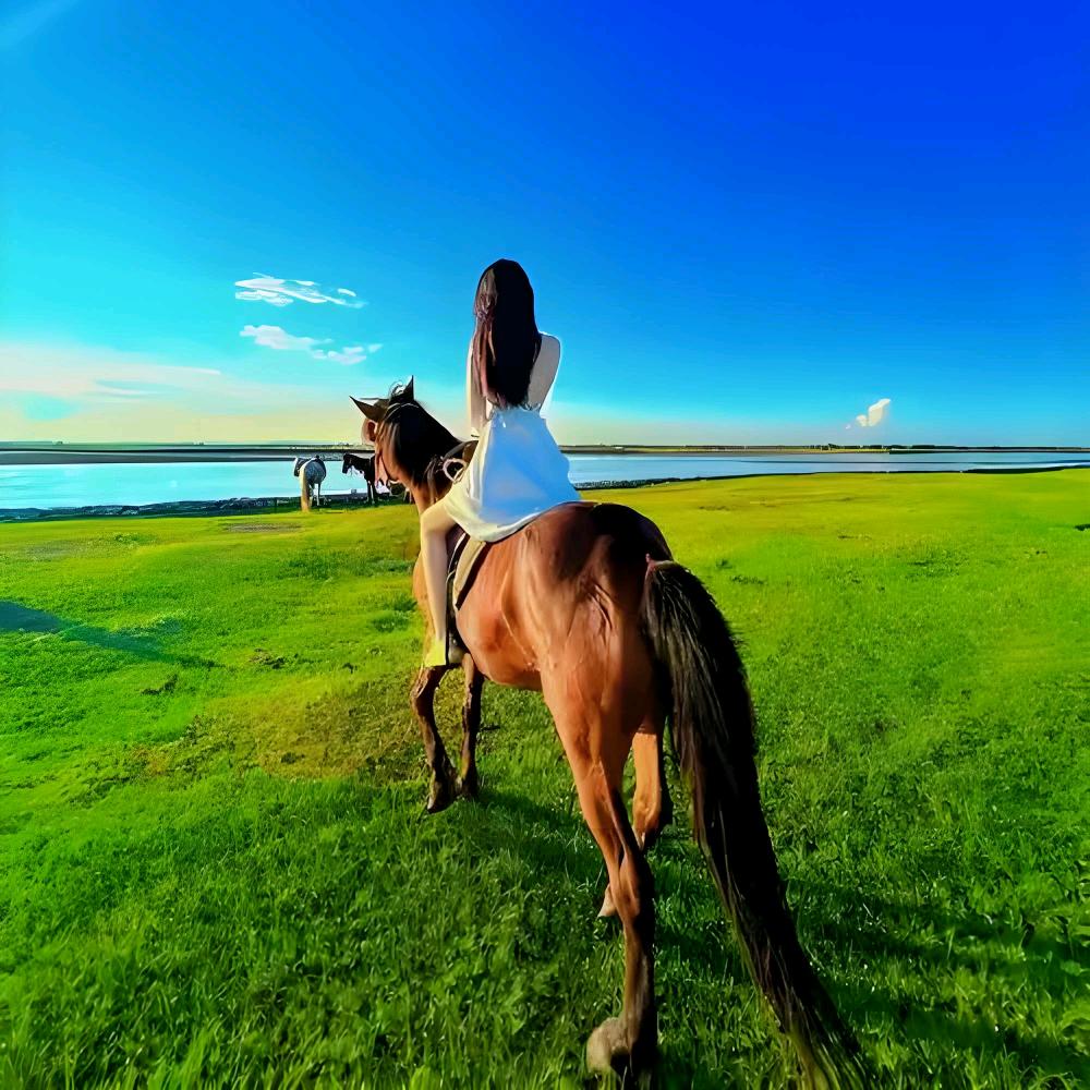 🐄内蒙美食推荐