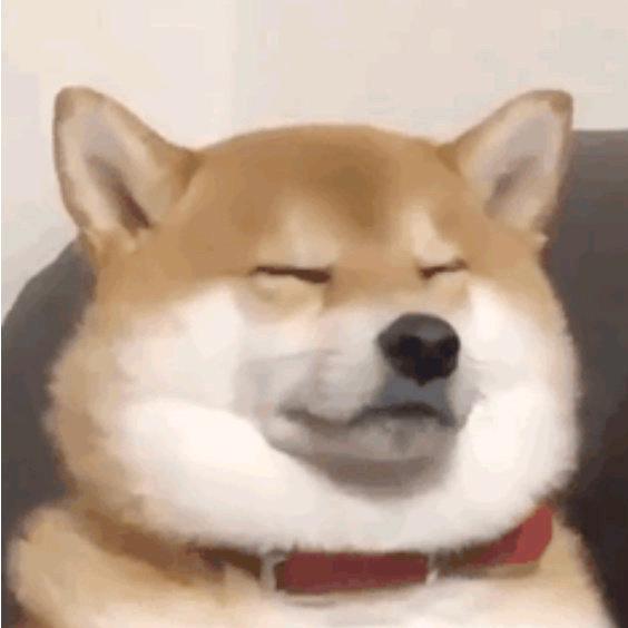 不玩抽象的人
