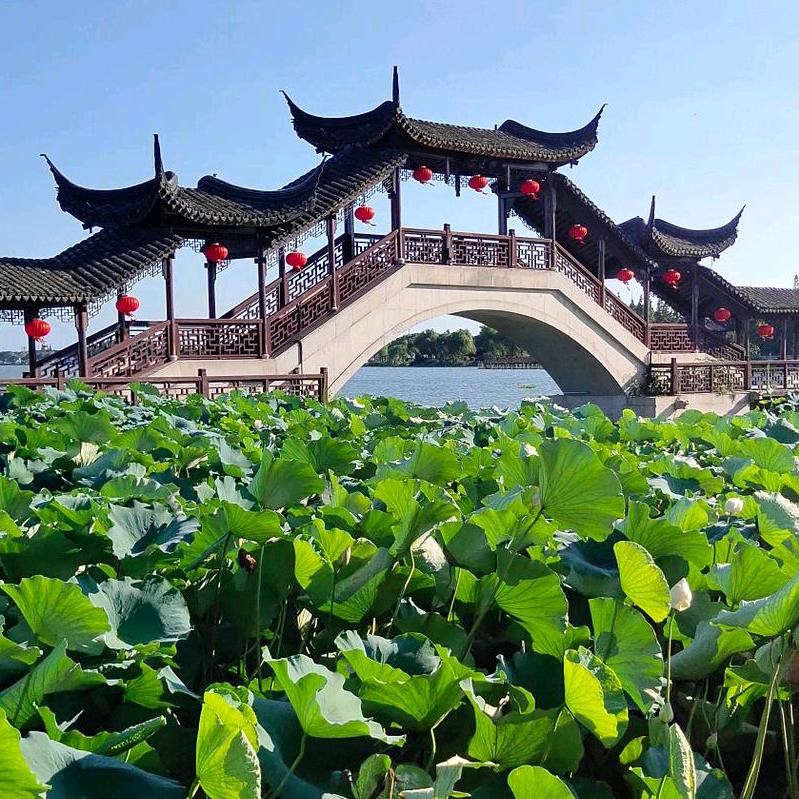 阳光明媚🦋