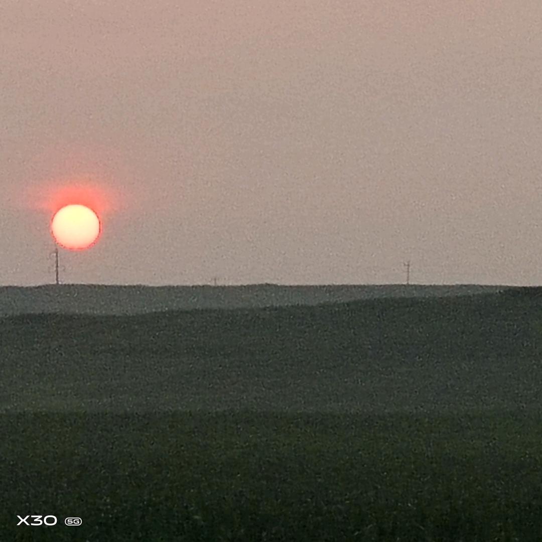 杨杨得利👌🏻