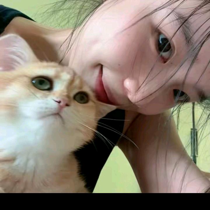 兵