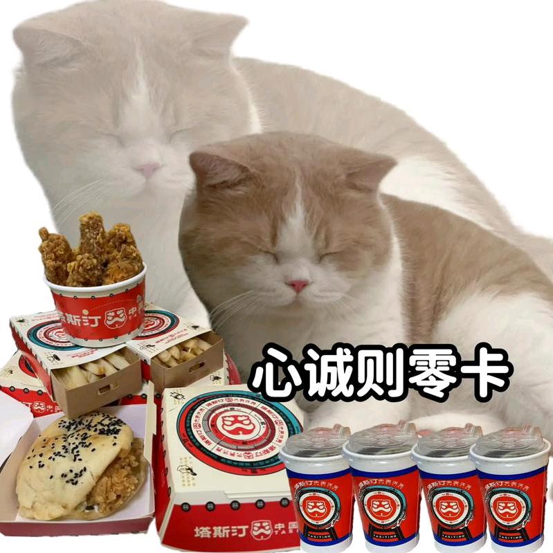 青檬不摆烂