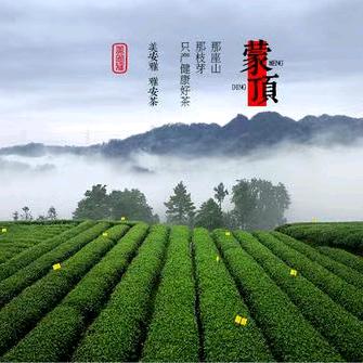 蒙茶