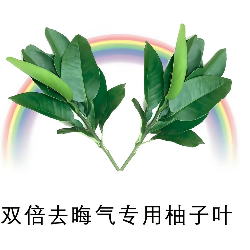 废话大王🍁🍁
