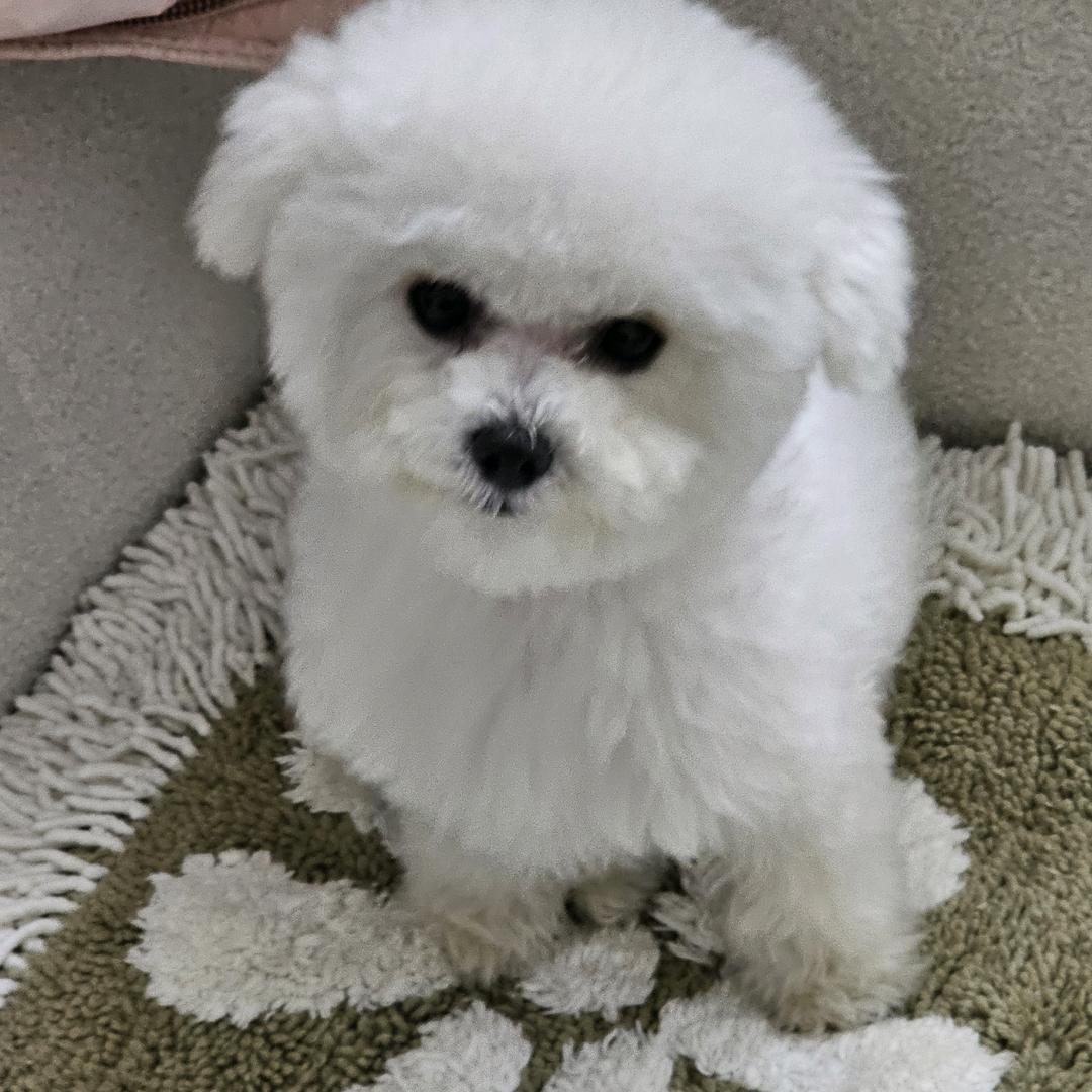 正在吃饭呢