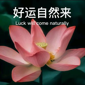 老许.