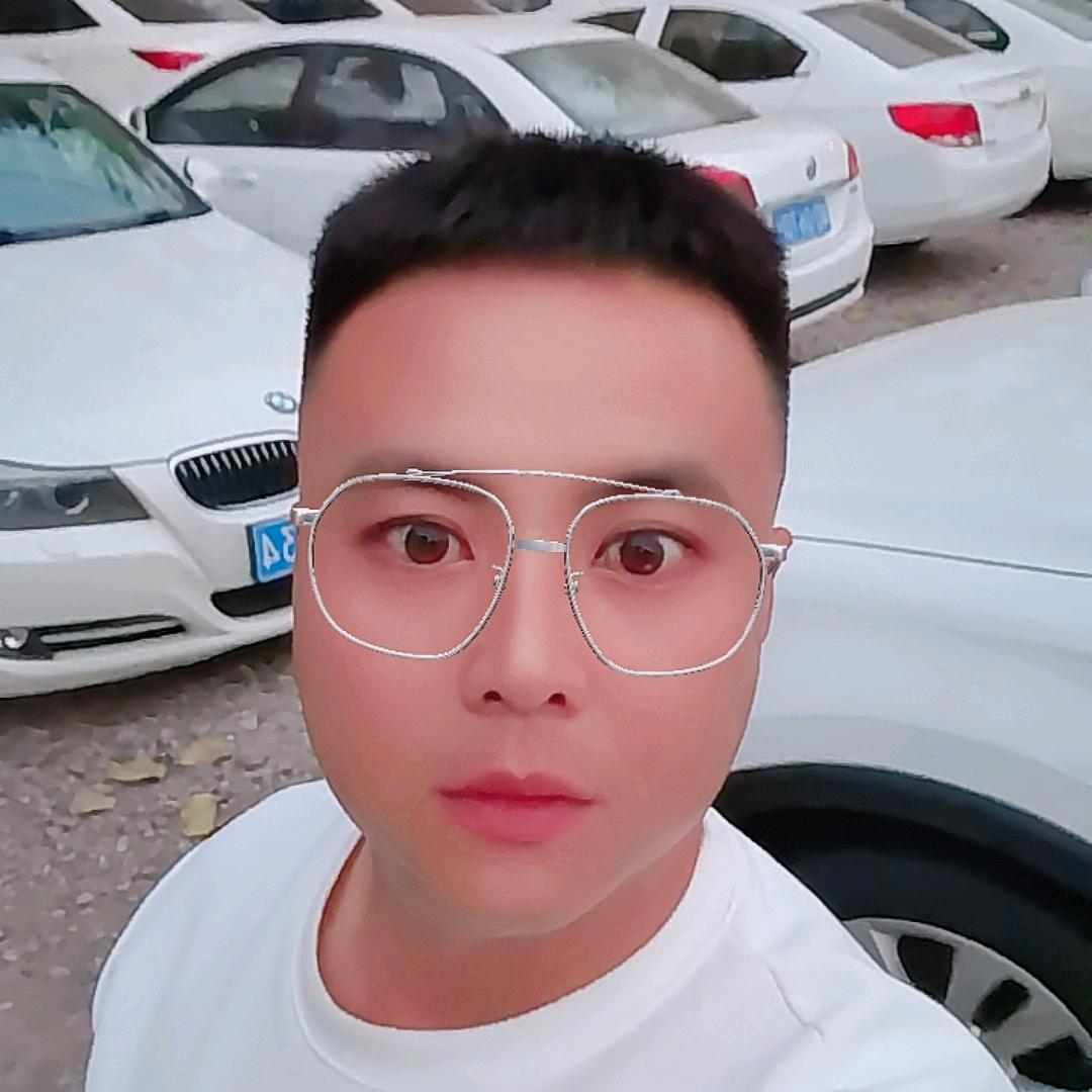 临漳县冀南二手车行，路西