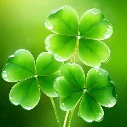 💕ꕥ᭄暖心💞向阳ꦿᩚ࿐