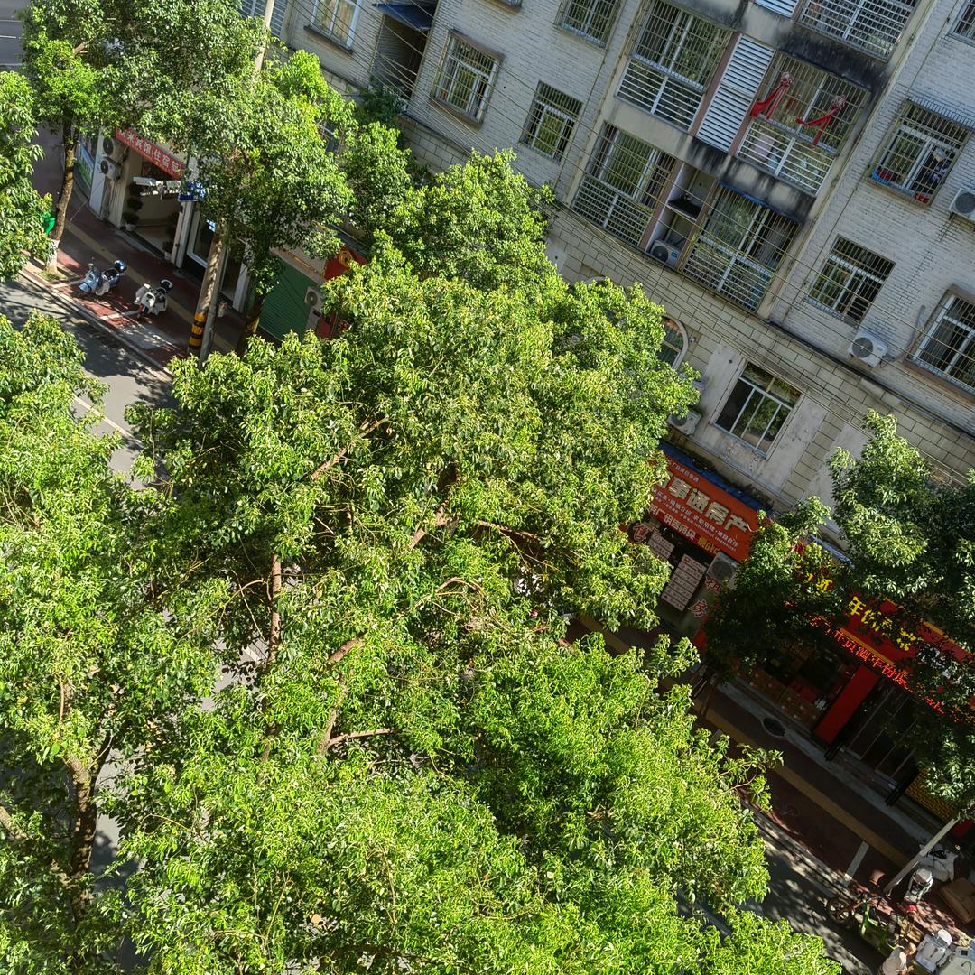 停不住的记忆