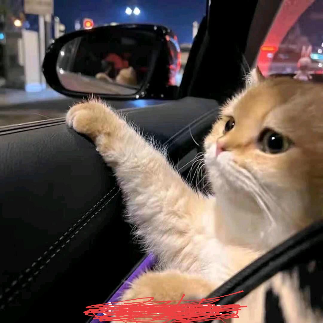 午夜十分 忘记过往❤