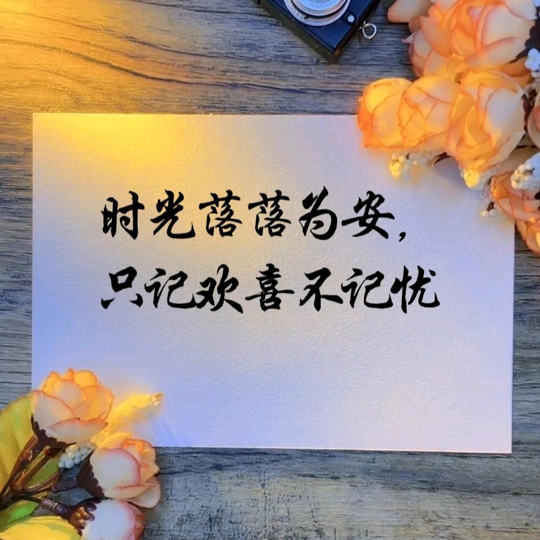 蝶蝶蝶蝶变