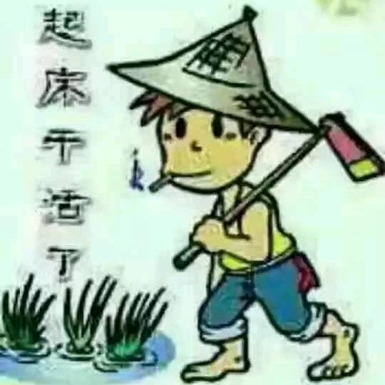 大家好：才是真的好