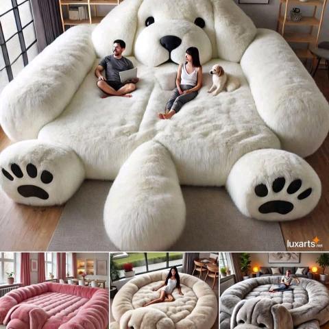 顺带 泰迪 小白